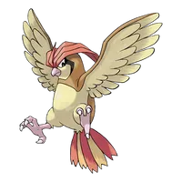 pidgeotto