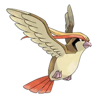 pidgeot