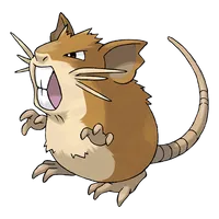 raticate